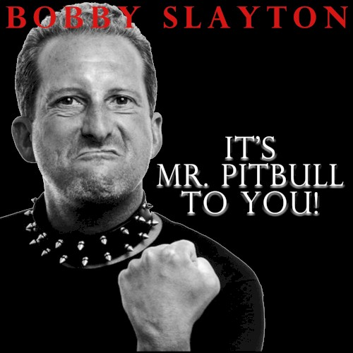 It's Mr. Pitbull to You (2017)