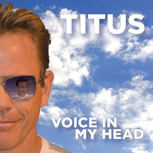 Voice In My Head (2013)