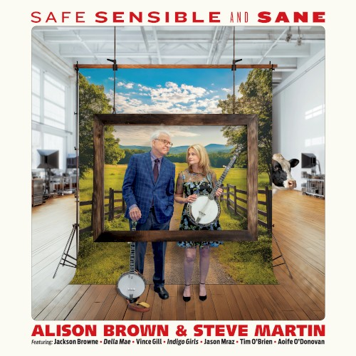 Safe, Sensible and Sane (2025)