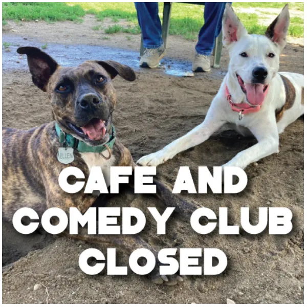 Poster for CLOSED