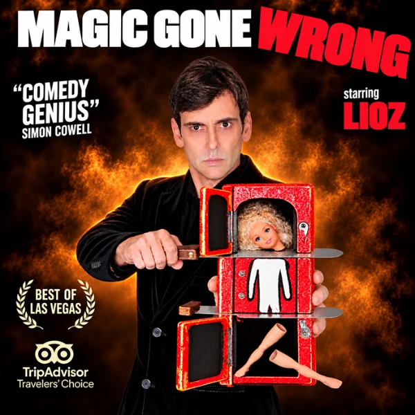 Poster for LIOZ - Magic Gone Wrong
