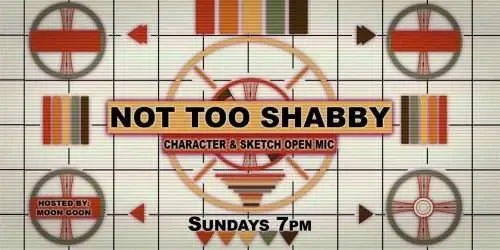 Poster for Not Too Shabby