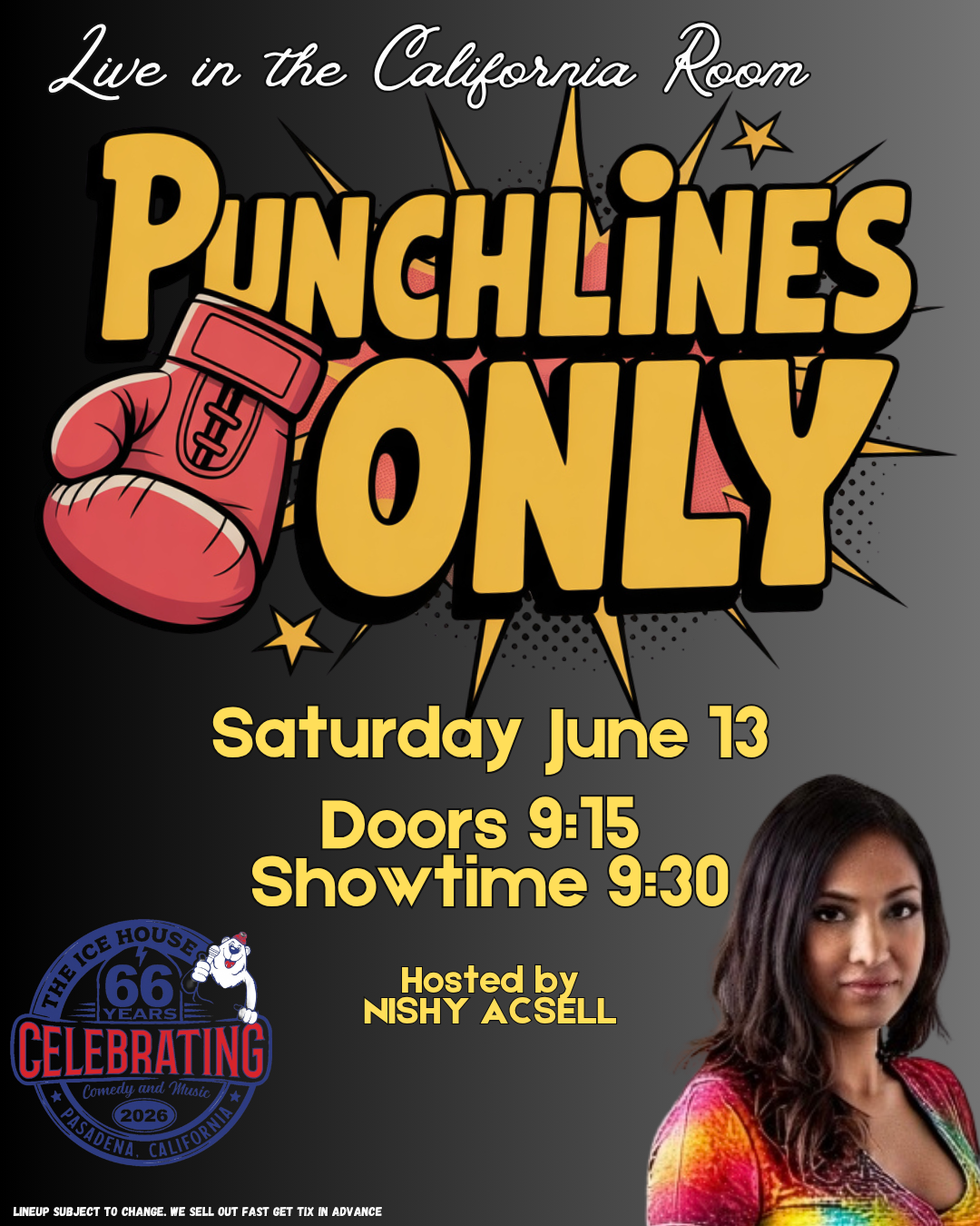 Poster for Punchlines Only Comedy