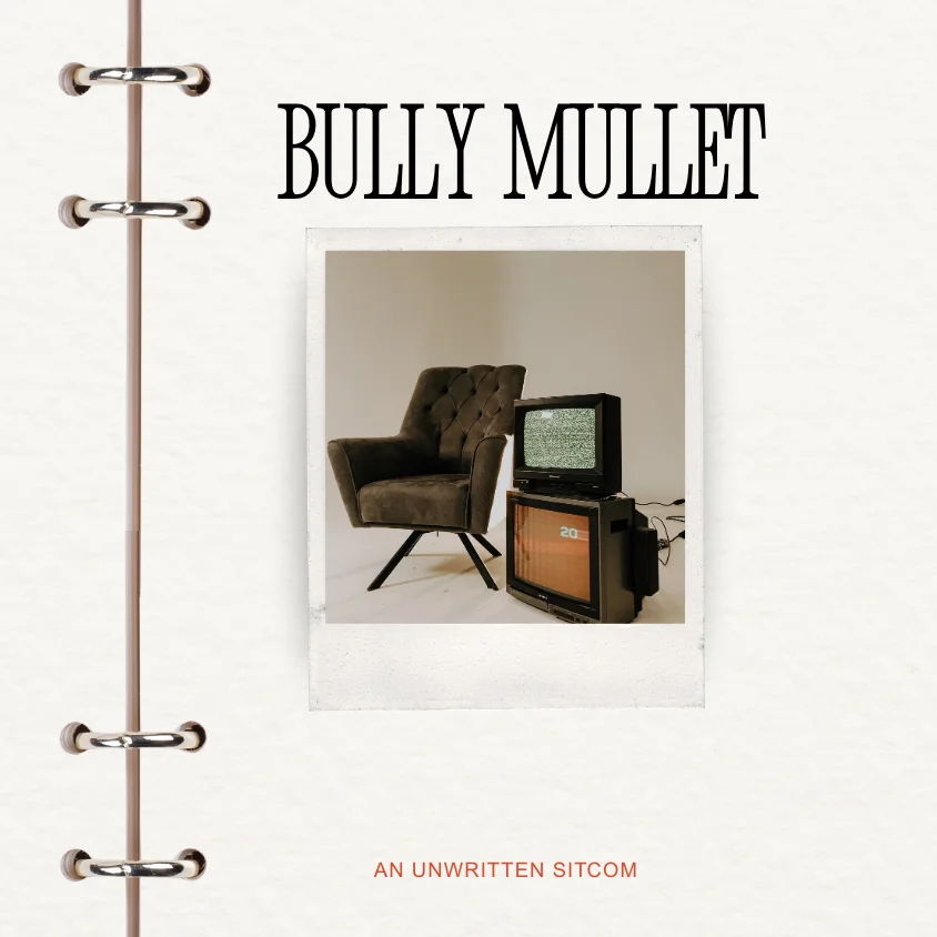 Poster for Bully Mullet: A Sitcom