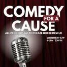 Poster for Comedy 4 A Cause - Benefitting Tecate Horse Rescue