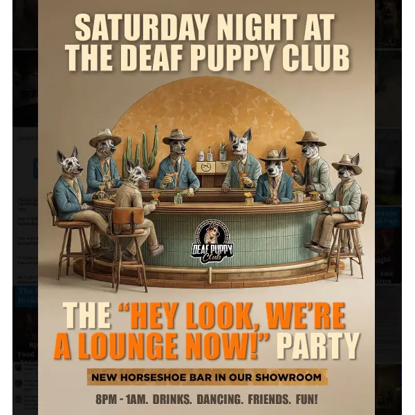 Poster for The "Hey Look, We're a Bar Now" Party!!