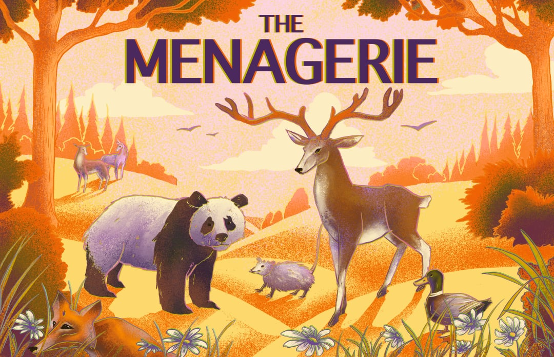 Poster for The Menagerie