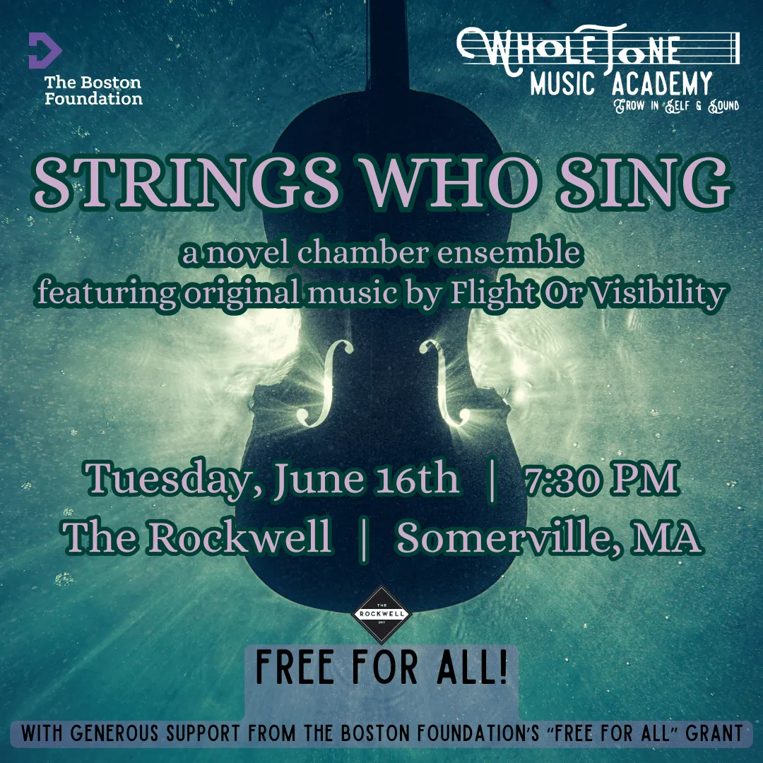 Poster for Strings Who Sing