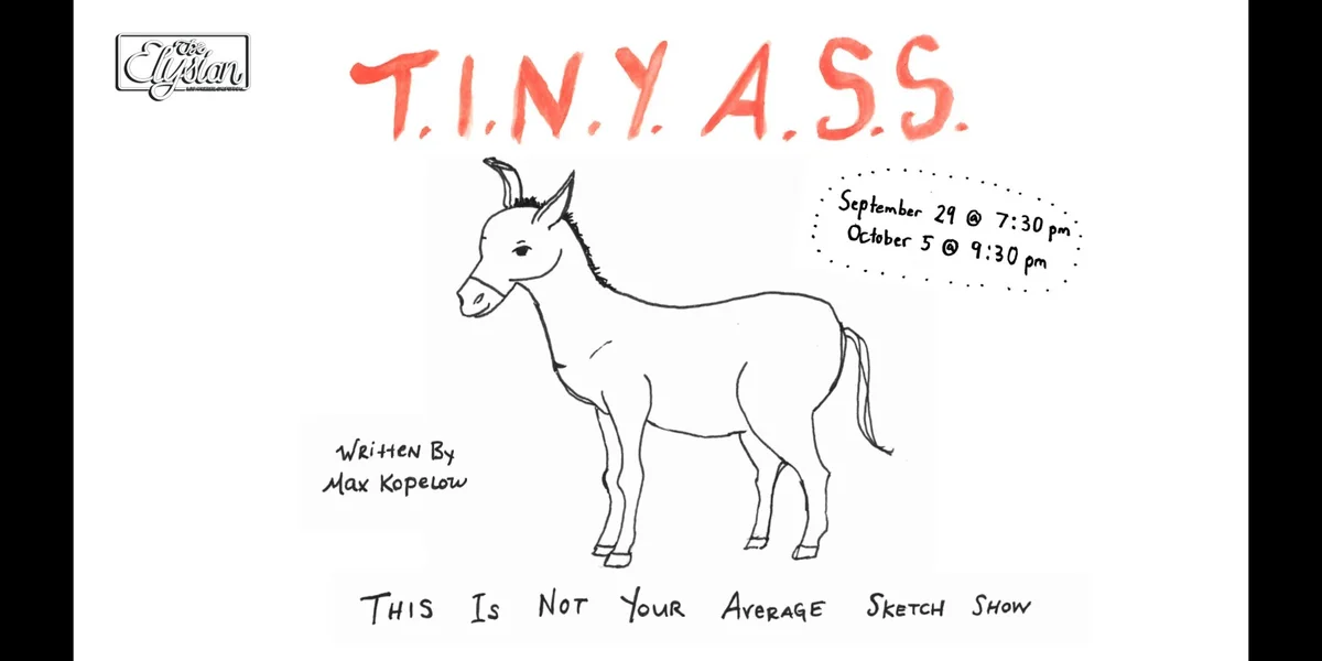 Poster for T.I.N.Y.A.S.S. (This Is Not Your Average Sketch Show)