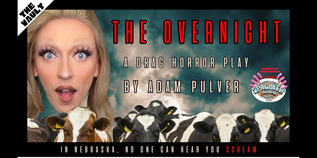 Poster for The Overnight