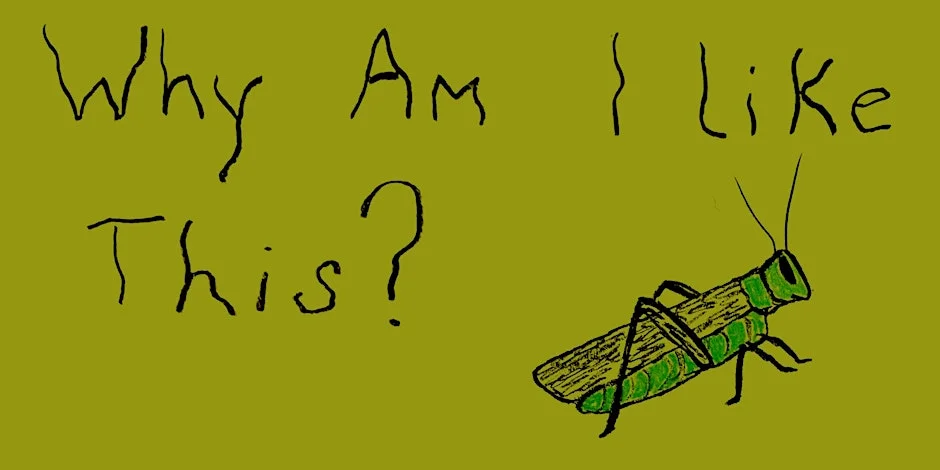 Poster for Why Am I Like This?