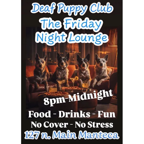 Poster for The Friday Night Lounge